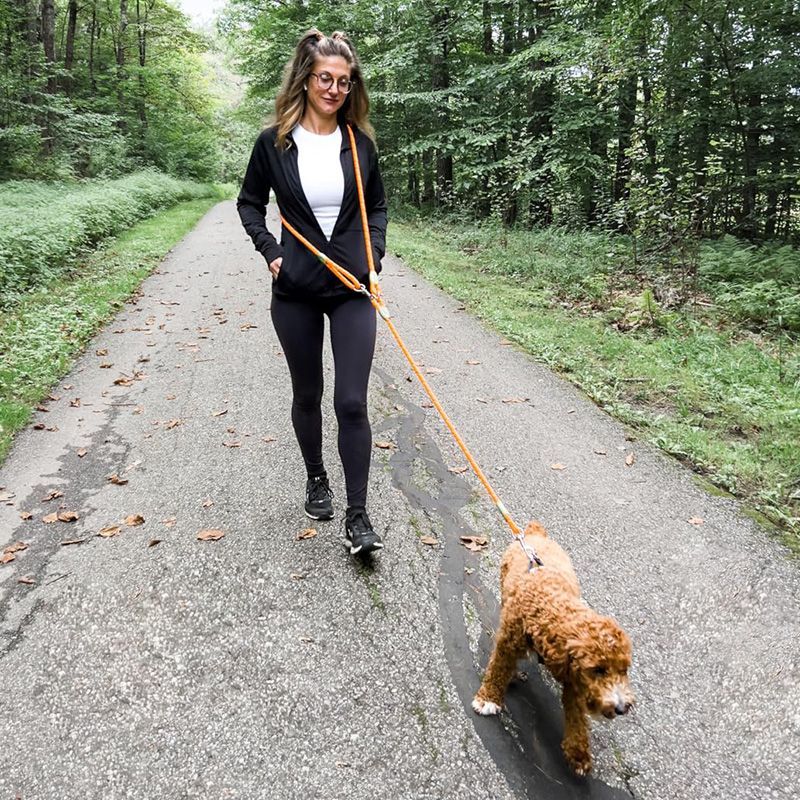 Running Zwift - Reflektierende, freihändige Hundeleine zum Wandern, Gehen